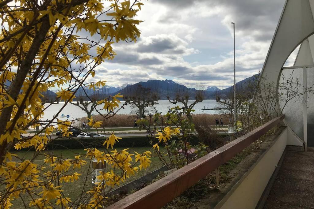 Chez Jacques - Terrasse Avec Vue Lac Et Montagne Анси Экстерьер фото